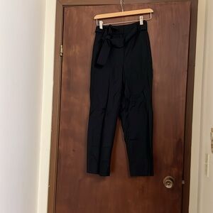 Aritzia Wool Blend Jallade Pant